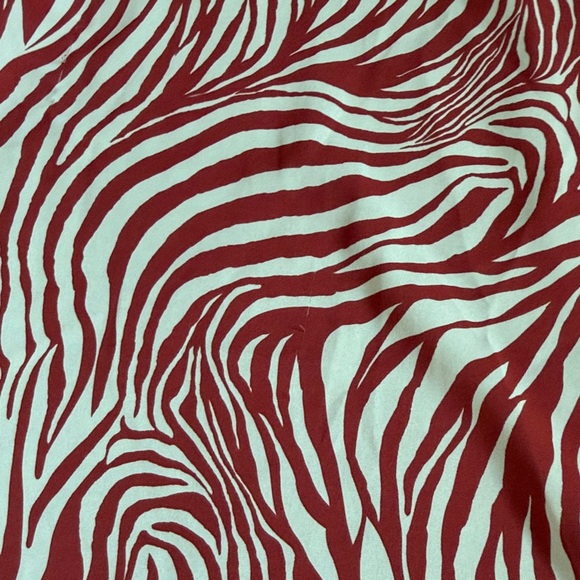 Zebra Print Two-Piece Set - Picture 10 of 12